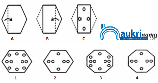 Paper Cutting Questions Quiz 1