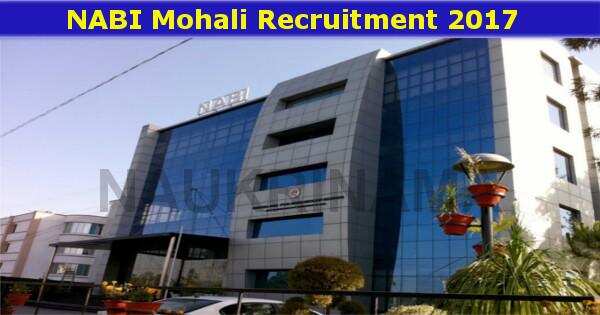Research Job Openings in NABI Mohali