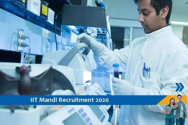 IIT Mandi Recruitment for the post of Senior Project Scientist