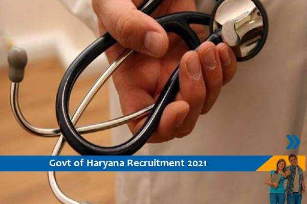 Govt of Haryana BPSGMC Recruitment for Doctor Posts