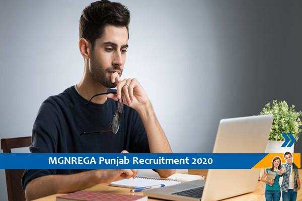 Recruitment for the post of Technical Assistant in MGNREGA Punjab