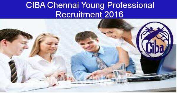 Job Alert: Young Professional Opening in CIBA-2016