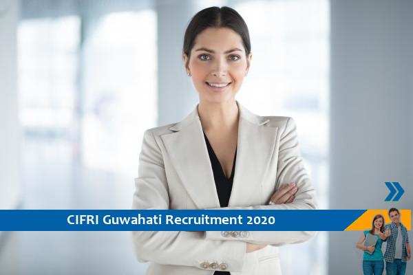 CIFRI Guwahati Recruitment for the post of Young Professional