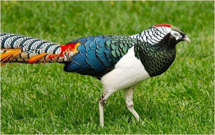 15 Facts about Mighty Himalayas that will Mesmerize you