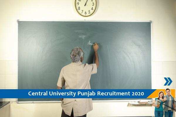 Central University of Punjab Recruitment for the post of Guest Faculty