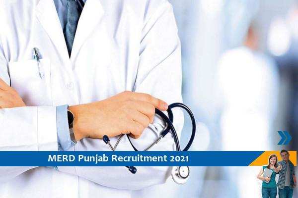 Govt of Punjab MERD Recruitment for Senior Resident