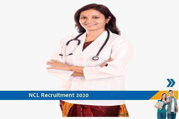 Northern Coalfields Limited Recruitment for the post of Medical Specialist