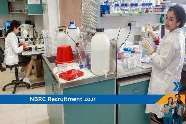 Recruitment for the post of Lab Attendant in NBRC Gurgaon