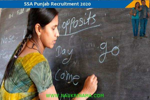 2100 Teachers posts announced in Department of school education , Punjab