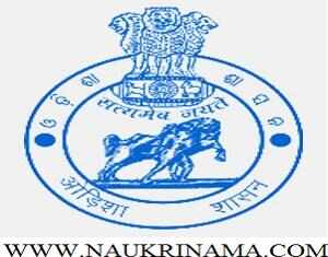 NHM Odisha Recruitment 2016 for Staff Nurse and ANM, ordistricts.nic.in