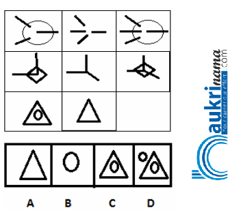 Figure Matrix Questions Quiz 1