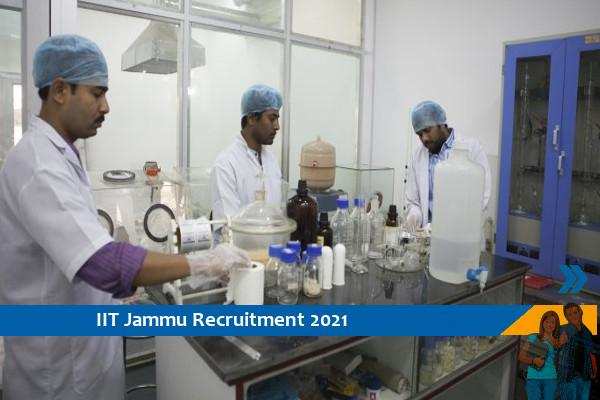 IIT Jammu Recruitment for the post of Project Scientist