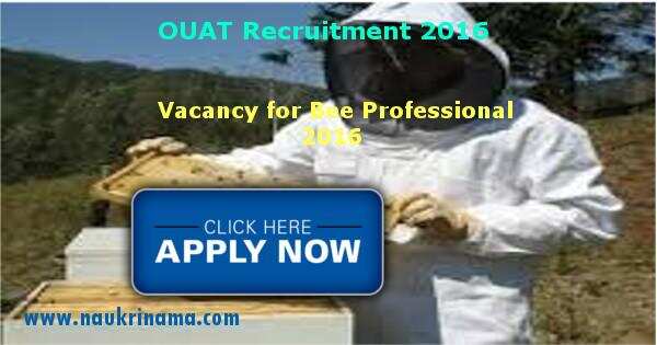 Job Alert – OUAT Vacancy for Bee Professional 2016
