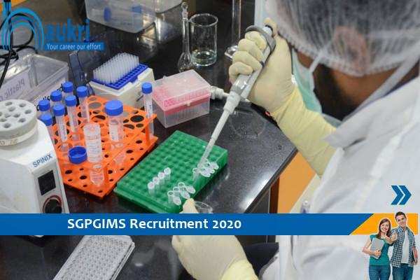 SGPGIMS Recruitment for the post of   scientist , Apply soon