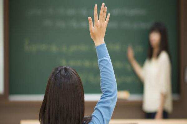 School Education Committee: Committees should be formed by June