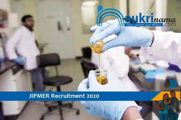 JIPMER Recruitment for the post of   Scientist  , Apply Now