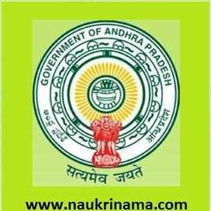 Chittoor District Court Recruitment 2015 for Various Posts-132