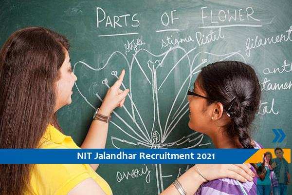 NIT Jalandhar Recruitment for the post of Assistant Professor