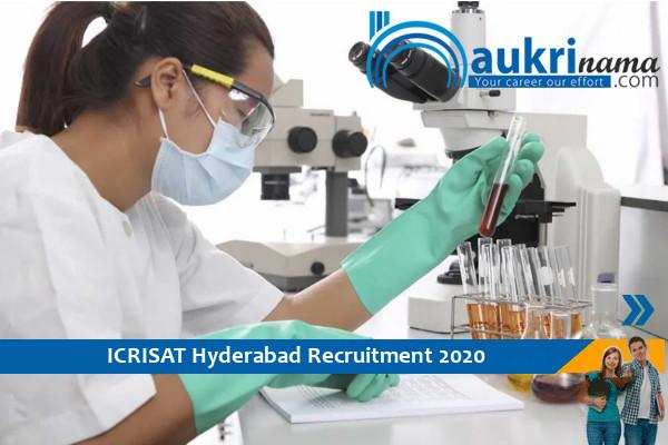 ICRISAT Hyderabad- Technical Officer Recruitment 2020