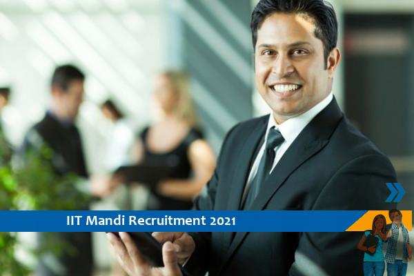 IIT Mandi Recruitment for the post of Chief Executive Officer