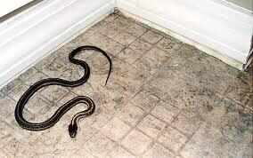 Top 25 famous Superstitions that Indians follow Blindly