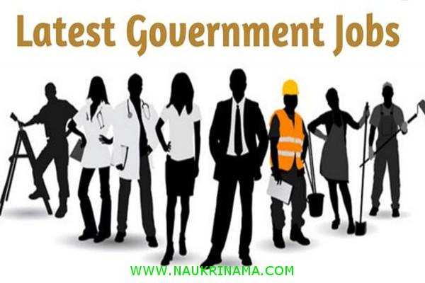 Job Digest 16 August 2020 : –   Graduation pass candidates has a  chance for youth to get government job      , Apply Now