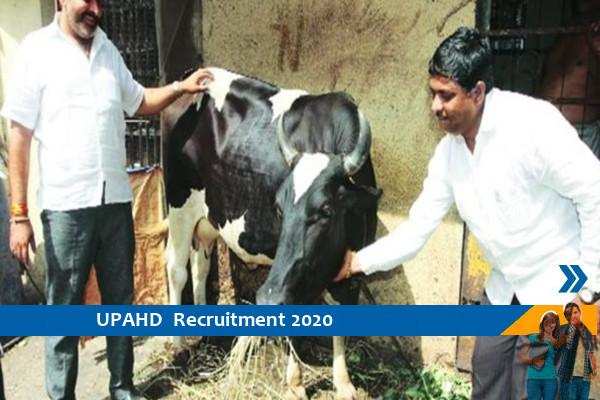 Recruitment for more than one thousand posts in UP Animal Husbandry  Department for 10th pass
