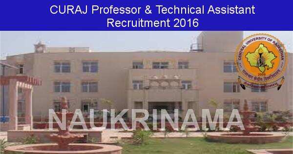 Job Alert: Professor and Various Vacancies in CURAJ-2016