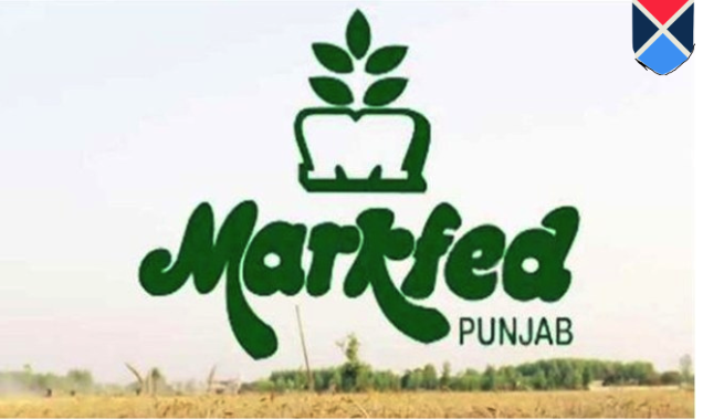 Markfed Recruitment 2021 for the Posts of Assistant Field Officer, Assistant Accountant, And Other 