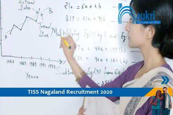 TISS Nagaland  Recruitment for the post of   Assistant Professor    , Apply Now