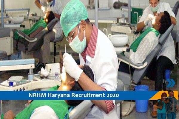 Recruitment for the post of Dental Surgeon in NRHM Haryana