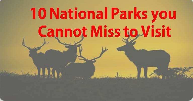 10 National Parks of India you Cannot Miss to Visit