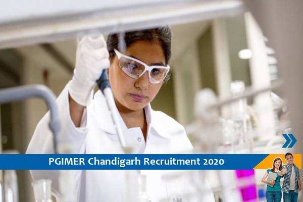 Recruitment for the post of Research Scientist in PGIMER Chandigarh