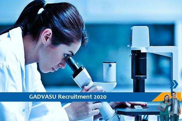 Recruitment of Lab Technician in GADVASU