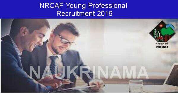 Job Alert: Young Professional Vacancies in NRCAF-2016