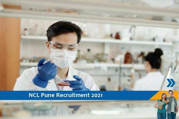 Recruitment for the post of Senior Project Associate in NCL Pune