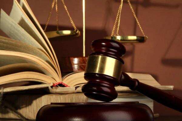 Place or appoint the Secretary Basic Education Council selected: High Court&nbsp;