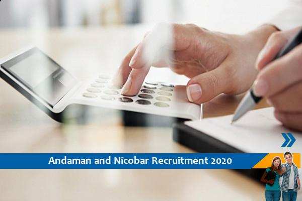 Recruitment to the post of Accountant and Doctor at Andaman and Nicobar Administration