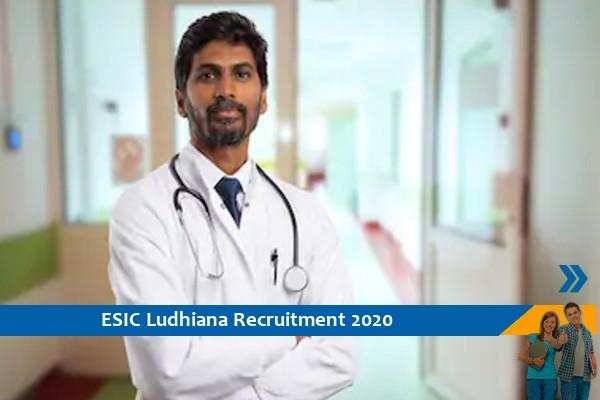 ESIC Ludhiana Recruitment for Senior Resident and Specialist Posts, Apply Now