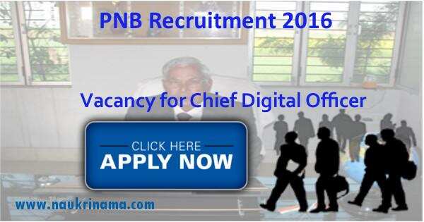 PNB Chief Digital Officer Recruitment 2016