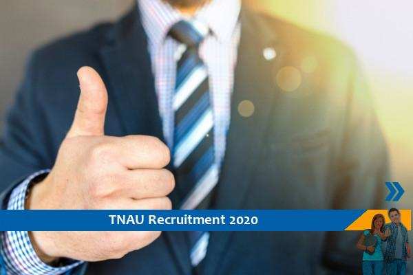 Recruitment to the post of Technical Assistant in TNAU