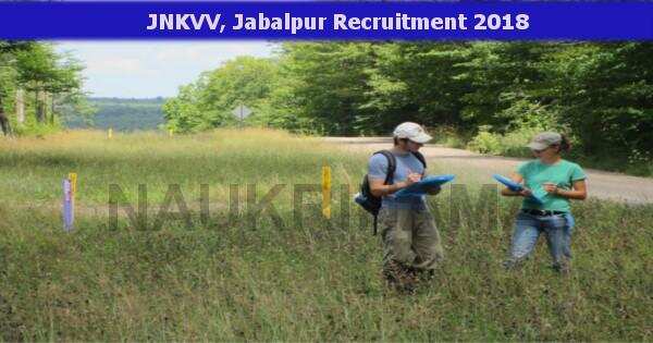Field Assistant Job Openings in JNKVV Jabalpur