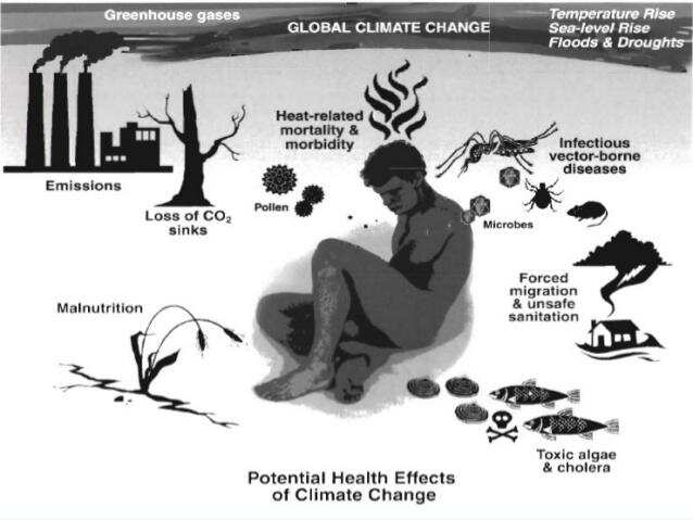 30 Shocking facts about Global Warming in the world