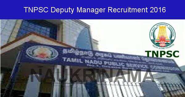 Job Alert: Deputy Manager Vacancies in TN PSC-2016