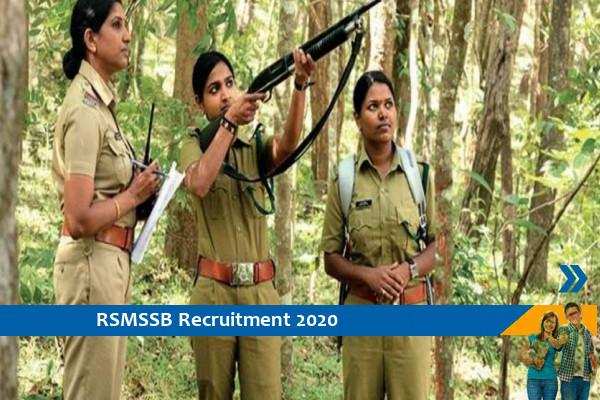 Recruitment in Rajasthan Forest Department, recruitment for 1128 posts for 10th, 12th pass