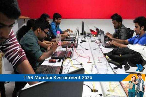 Recruitment of software developer in TISS Mumbai