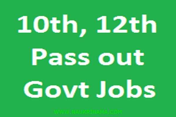 Job Digest 15 August 2020 : –   Graduation pass candidates has a  chance for youth to get government job      , Apply Now