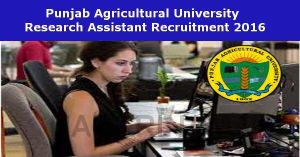 Job Alert- PAU Research Assistant Jobs 2016