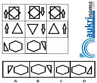 Figure Matrix Questions Quiz 1