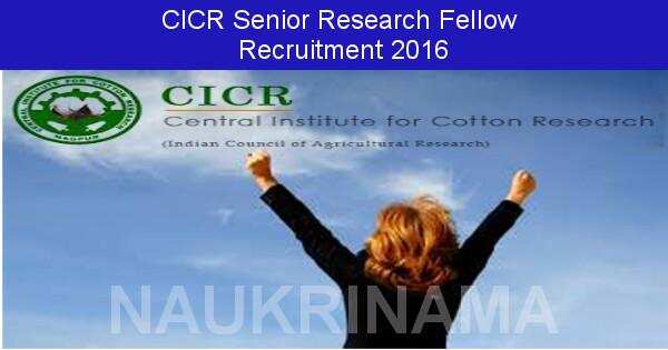 Job Alert: Senior Research Fellow Vacancies in CICR-2016